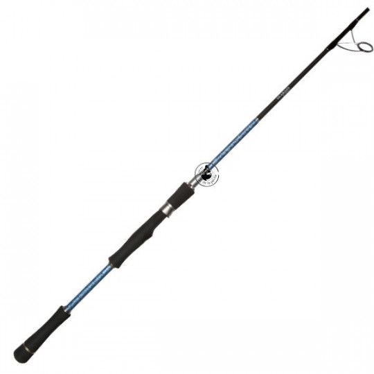 Meeresruten Smith Dragonbait Sea Bass 72 H - Angeln der Barsch