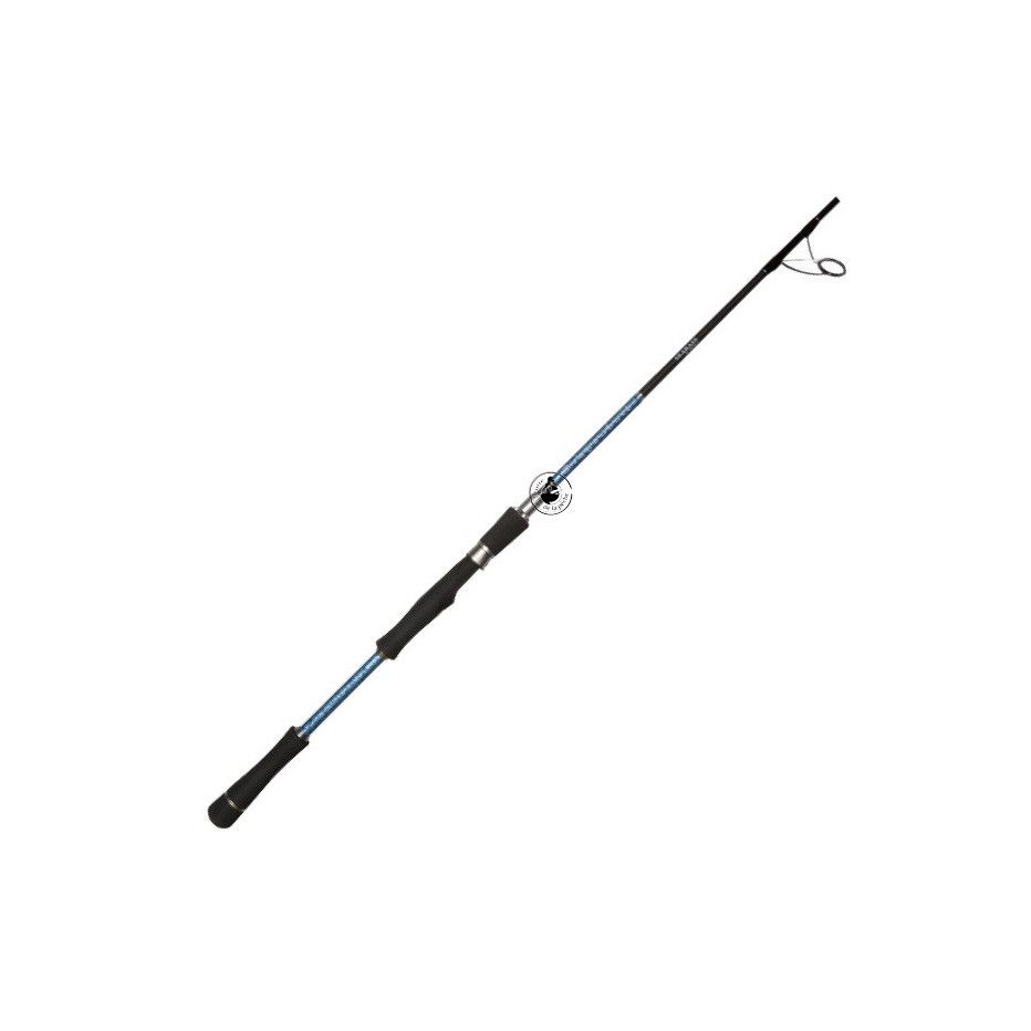Meeresruten Smith Dragonbait Sea Bass 72 H - Angeln der Barsch