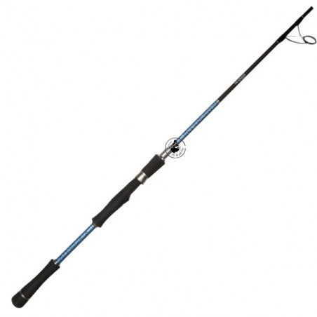 Sea Rod Smith Dragonbait Sea Bass 72 H - Sea bass fishing