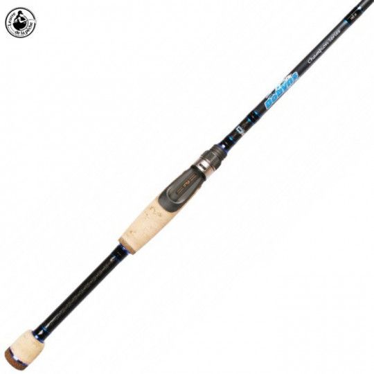 Spinning rod Dobyns...