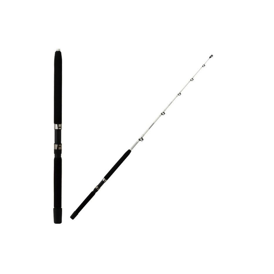 Angelruten Schleppen Daiwa Megaforce Trolling - angeln Meer