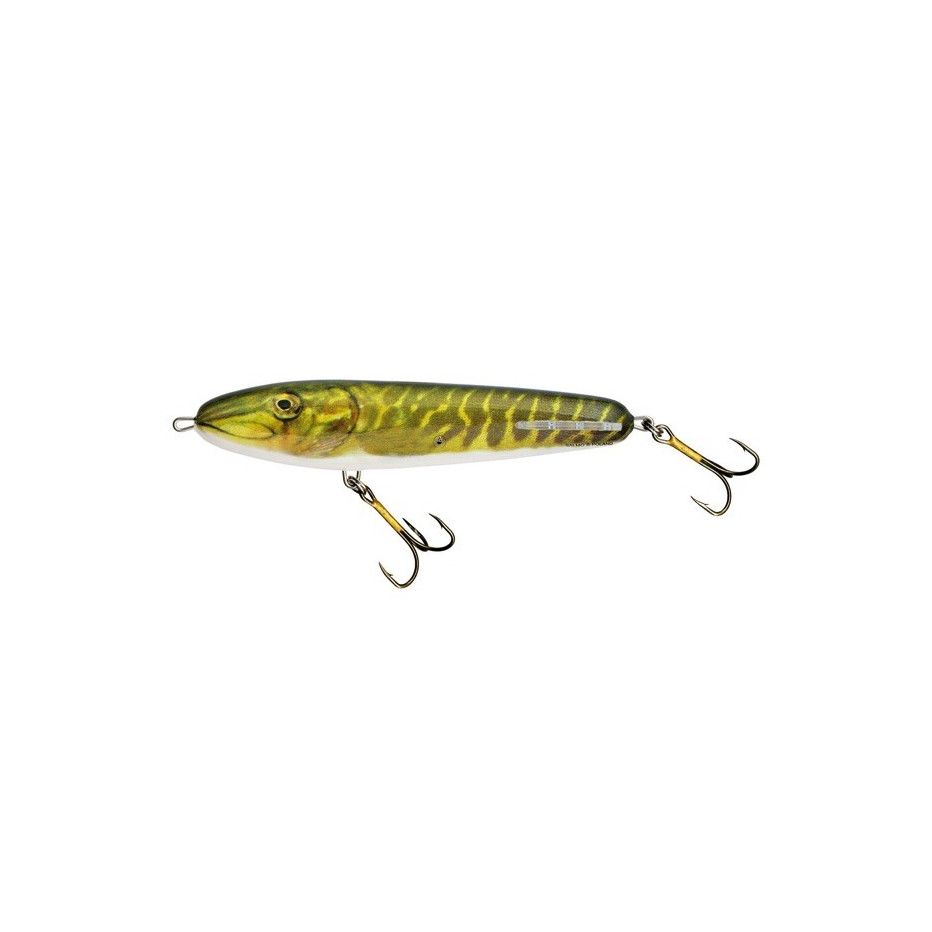 Hard Bait Salmo Sweeper Sinking