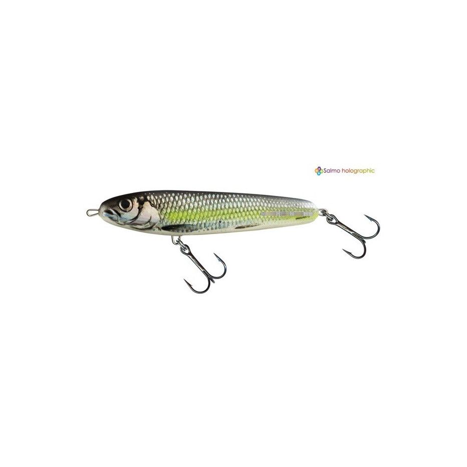 Hard Bait Salmo Sweeper Sinking