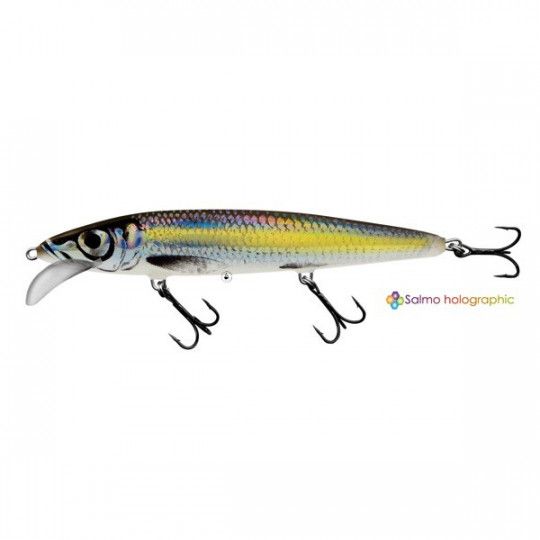 Poisson Nageur Salmo Whacky Flottant - Traine et Crankbait