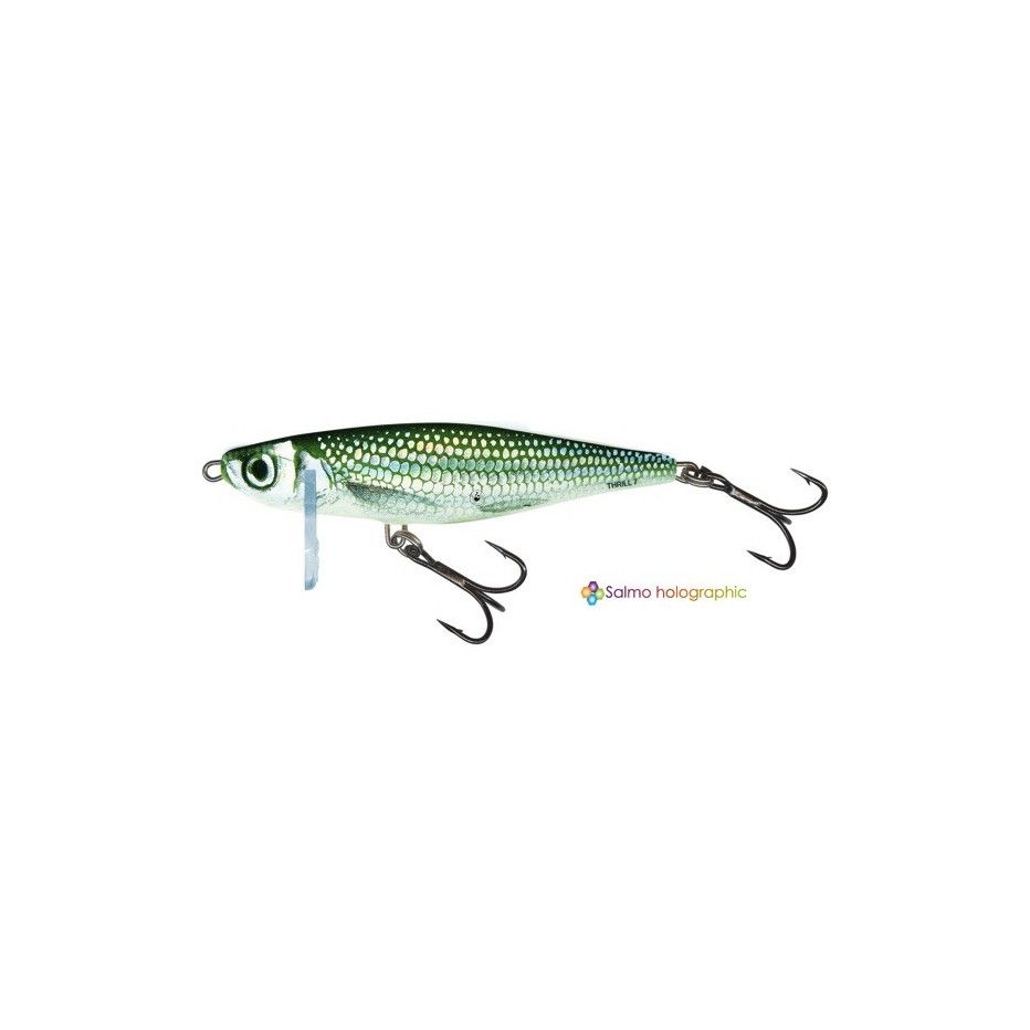 Hard Bait Salmo Thrill Sinking 7cm