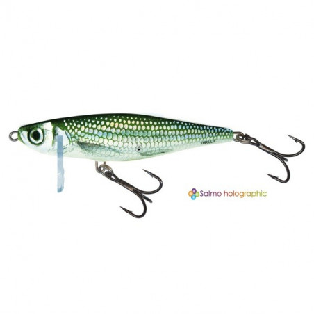 Señuelo Duro Salmo Emoción Hundirse - Aspe pesca