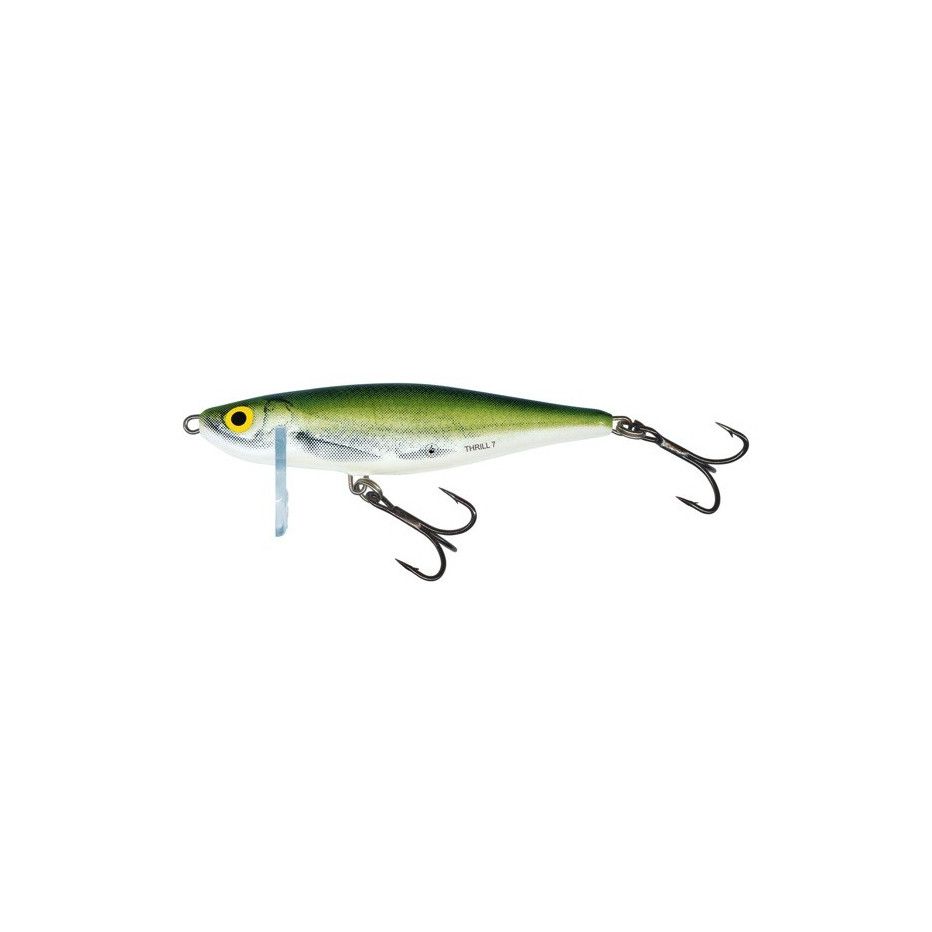 Hard Bait Salmo Thrill Sinking 7cm