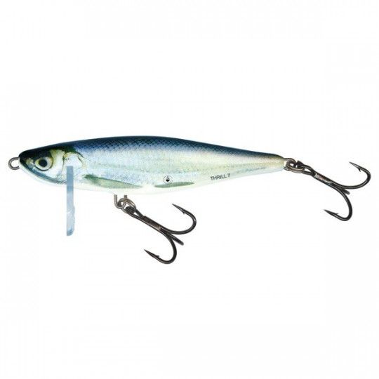 Wobbler Salmo Thrill Sinking - Angeln des Aspe