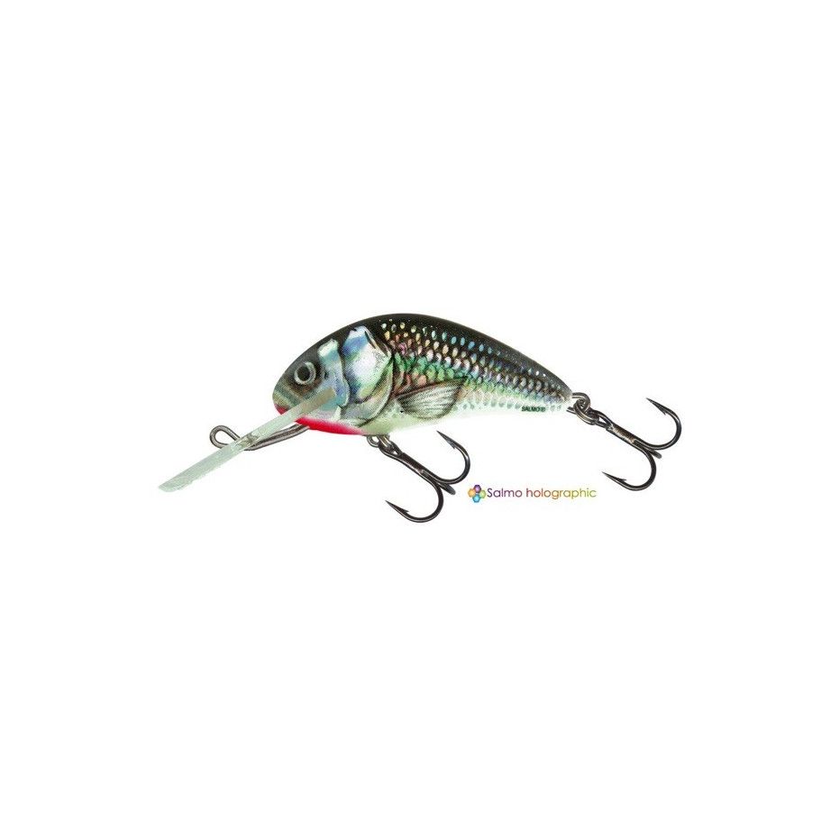Hard bait Salmo Hornet Sinking