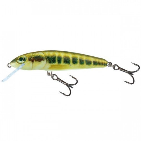 Poisson Nageur Salmo Minnow Coulant 7cm