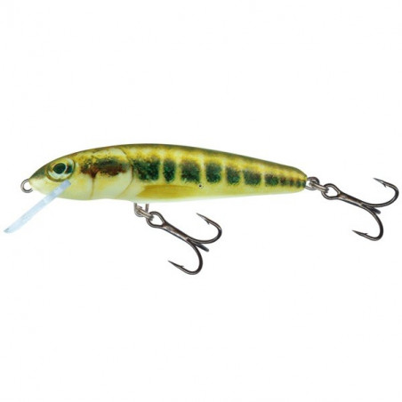 Hard bait Salmo Sinking Minnow 7cm