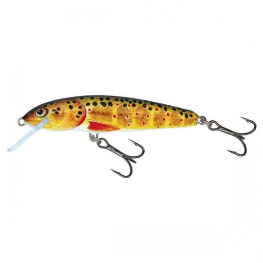 Hard bait Salmo Sinking Minnow 7cm