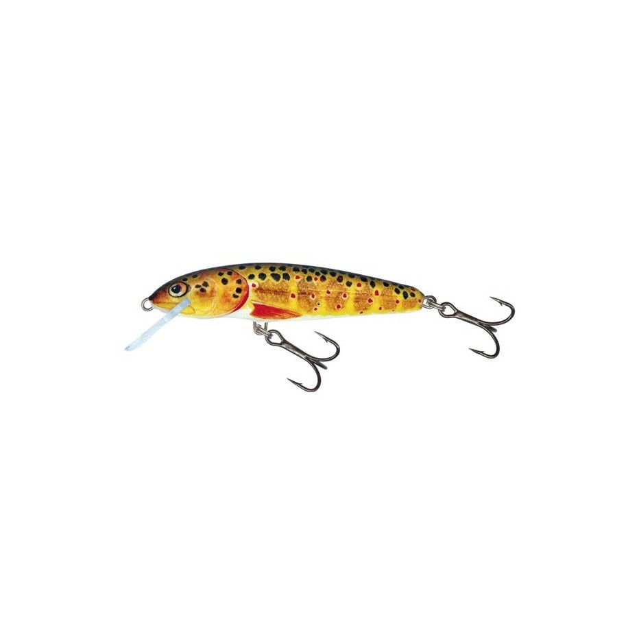 Hard Bait Salmo Minnow