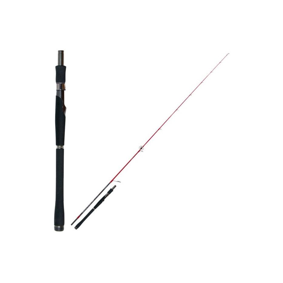 Spinning rod Tenryu Injection SP 73 M
