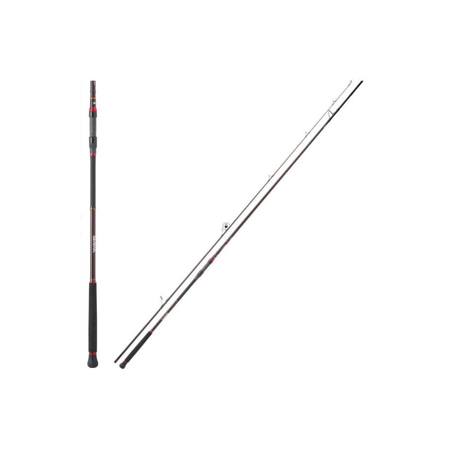 Meeresruten Daiwa Grandwave Blase - Angeln vom Meeresufer