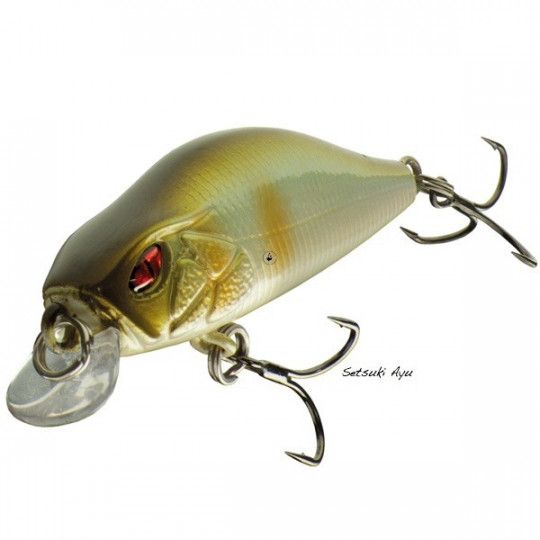 Wobbler Daiwa Prorex Flat Minnow 50 SS - Forelle