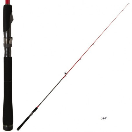 Spinning rod Tenryu Injection SP V 6.0 H - Vertical fishing