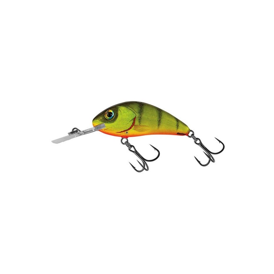 Hard Bait Salmo Rattlin Hornet Floating 5.5cm