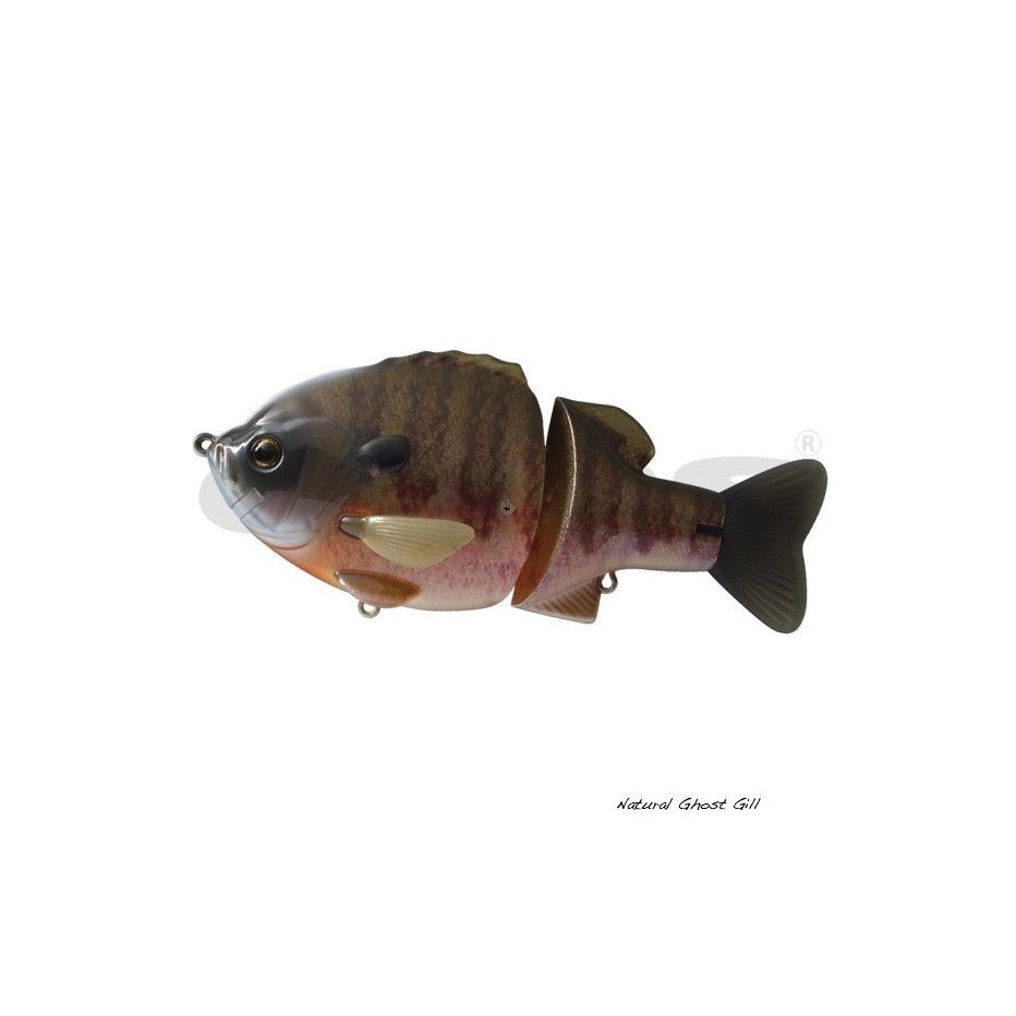Poisson Nageur Deps Bull Shooter 160SS