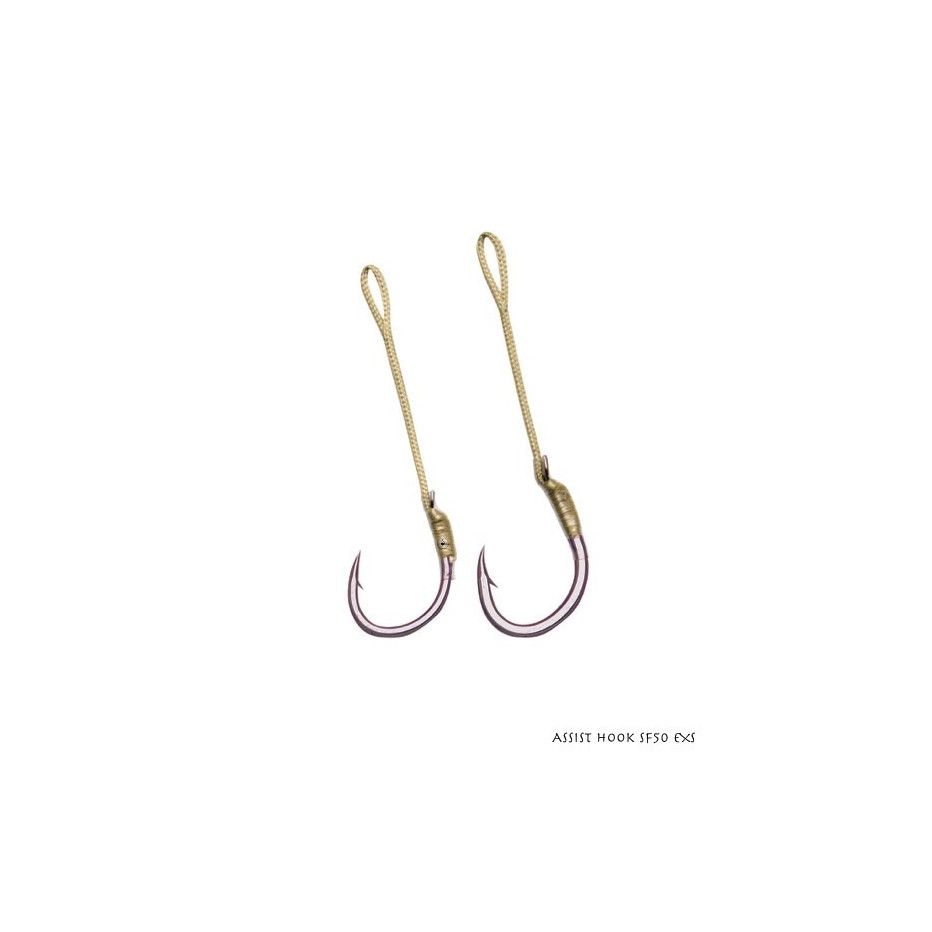 Assist Hook Owner SF50 EXS