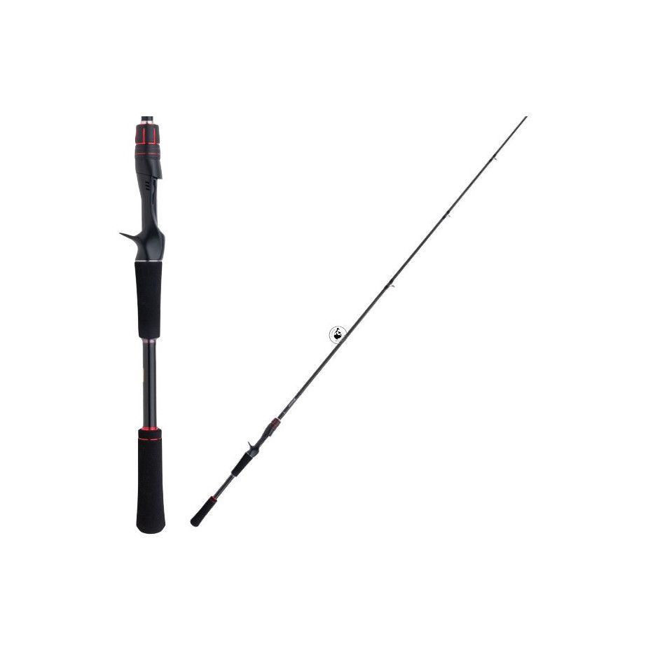 Casting rod Shimano Zodias 2 sections