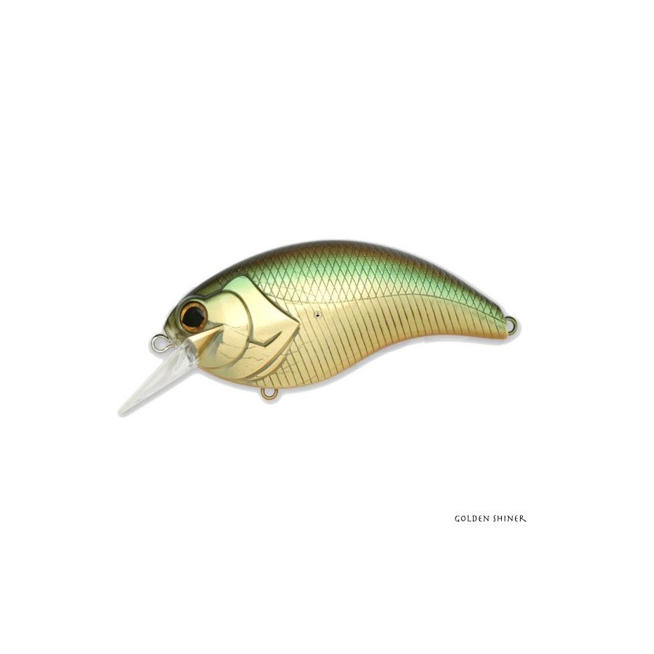 Swimmer Deps Evoke 4.0