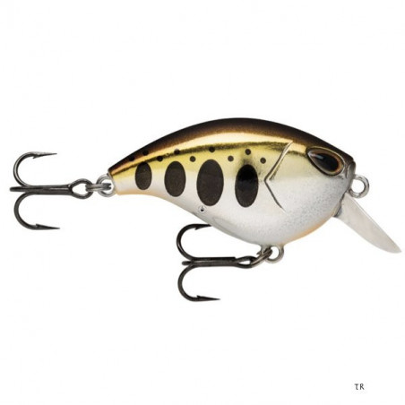 Señuelo Duro Storm Gomoku Crank Shallow 38