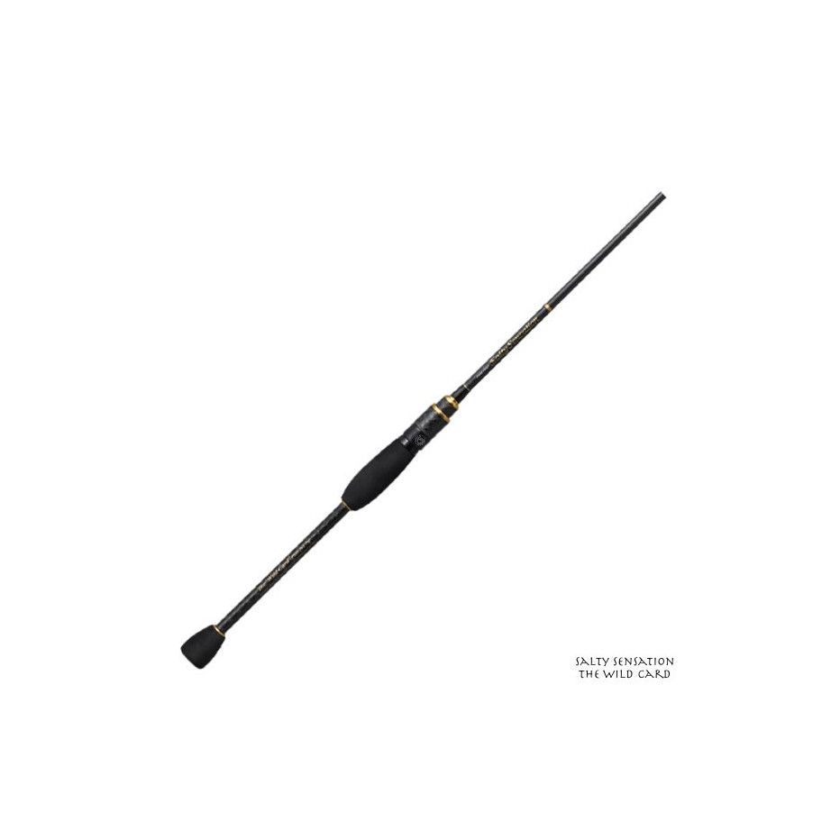 Spinning rod Evergreen Poseidon Salty Sensation The Wild Card 76 T