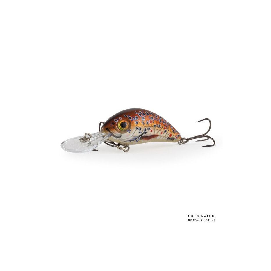 Poisson Nageur Salmo Rattlin Hornet Flottant 5,5cm
