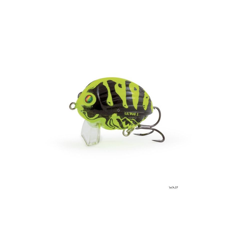 Hard bait Salmo Lil Bug 3cm - Chub fishing