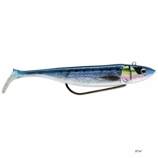 Body Storm 360 GT Coastal Biscay Shad