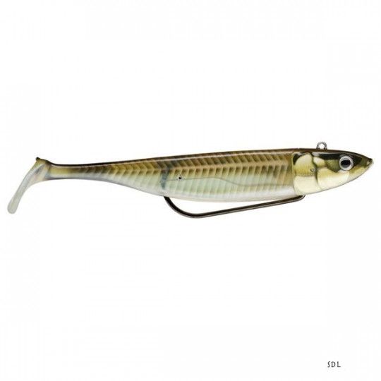 Corps Storm 360 GT Coastal Biscay Shad