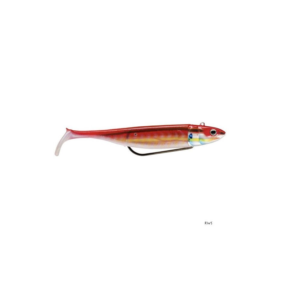 2 Leurres Souples Montés Storm 360° Gt Coastal Biscay Shad 12cm 40g