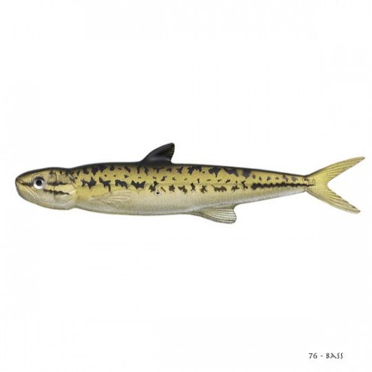 Ever Green Last Ace 168 Soft Bait - Jerk Minnow