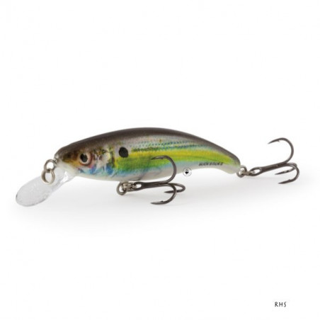 Poisson Nageur Salmo Slick Stick 6cm Floating