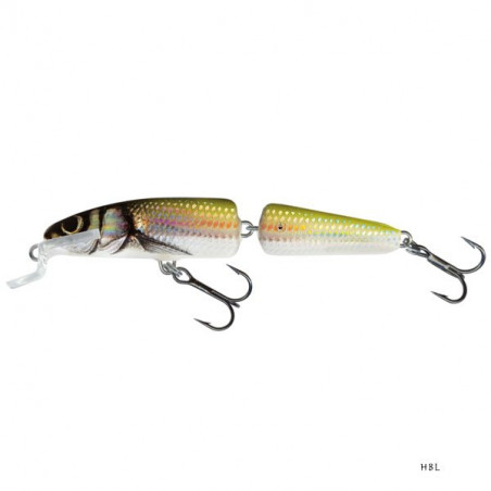 Hard Bait Salmo Fanatic 7cm Floating