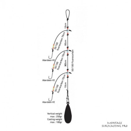 Montage Daiwa D'Rig Surfcasting Pro