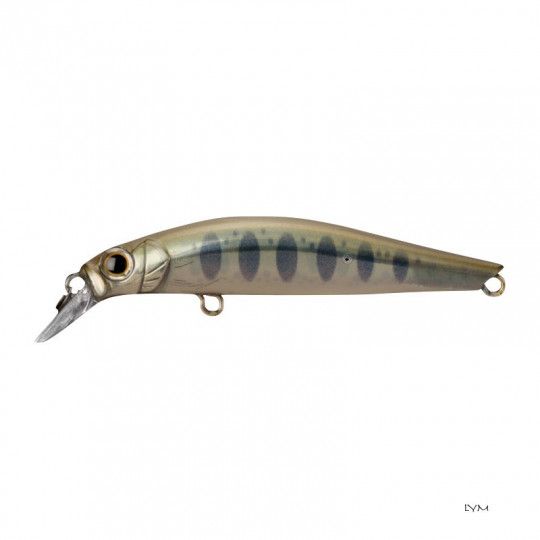 Swimmer fish for bass fishing Jackson Artist FR80