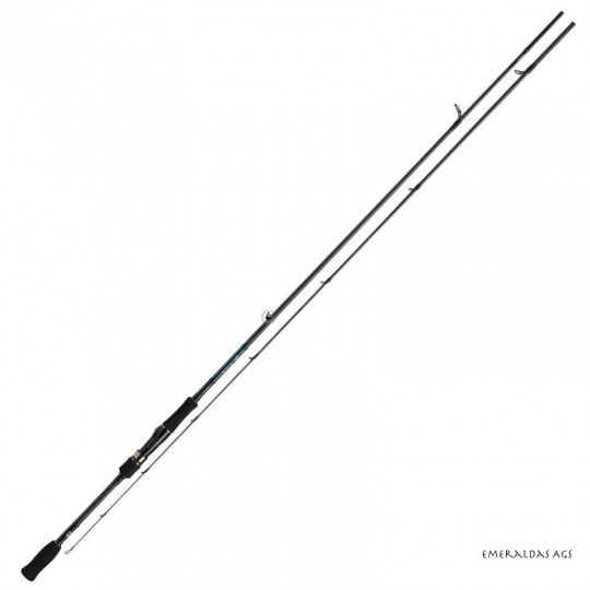 Spinnruten Daiwa Emeraldas AGS - Angeln der Tintenfische