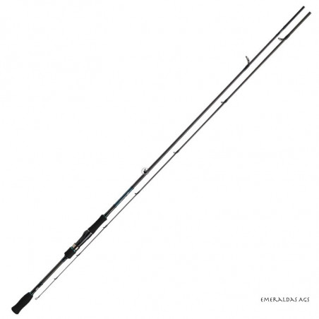 Spinnruten Daiwa Emeraldas AGS - Angeln der Tintenfische