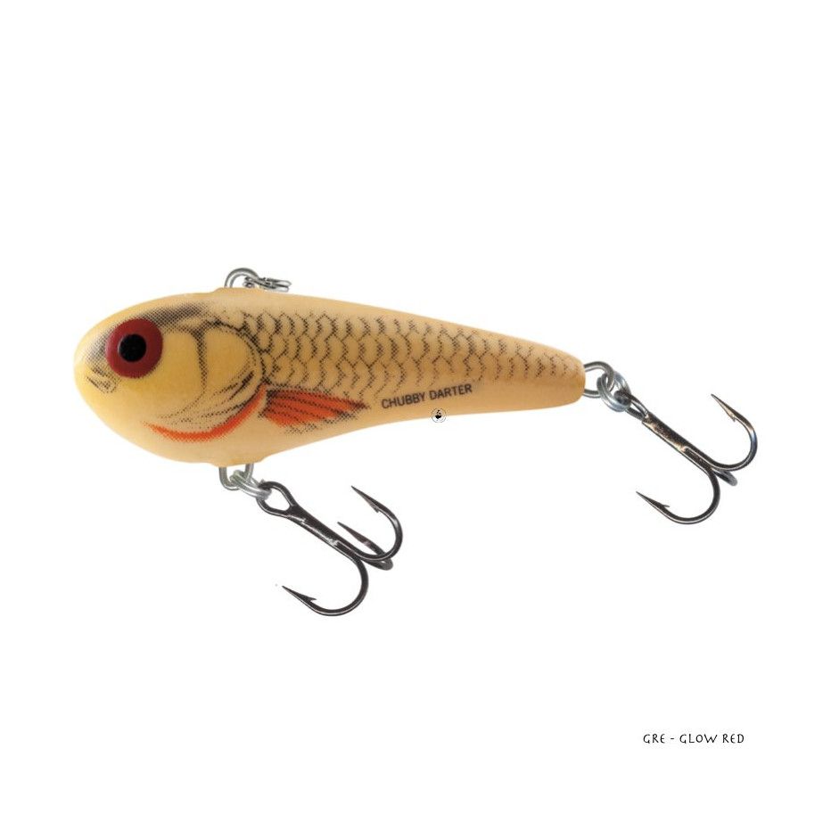 Poisson Nageur Salmo Chubby Darter Sinking