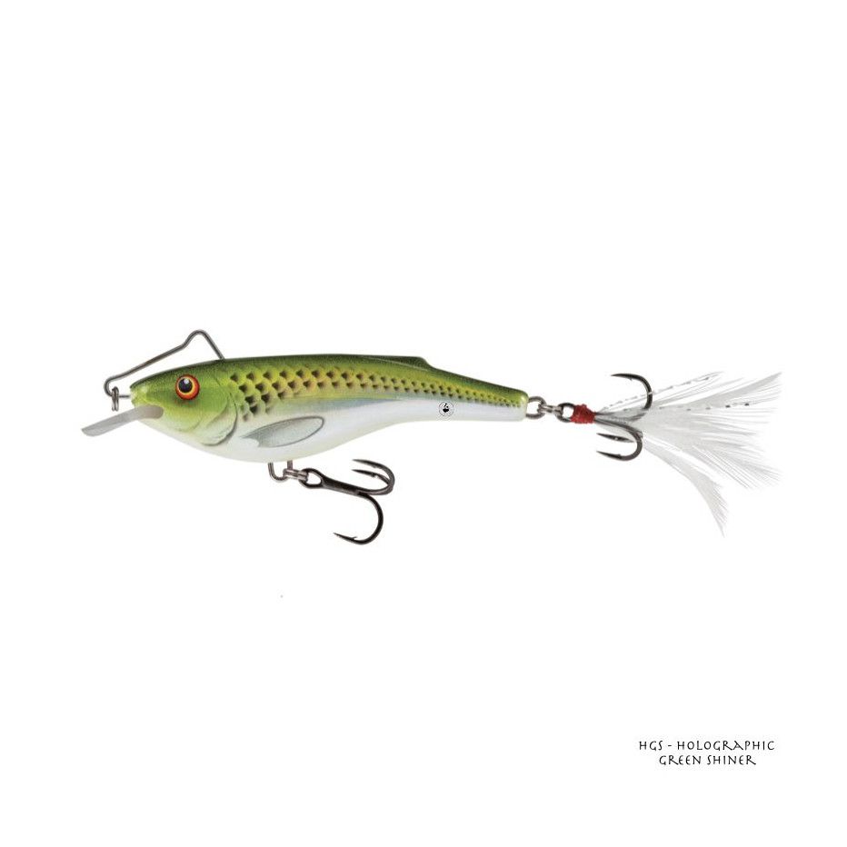 Señuelo Duro Salmo Rail Shad Sinking 6cm