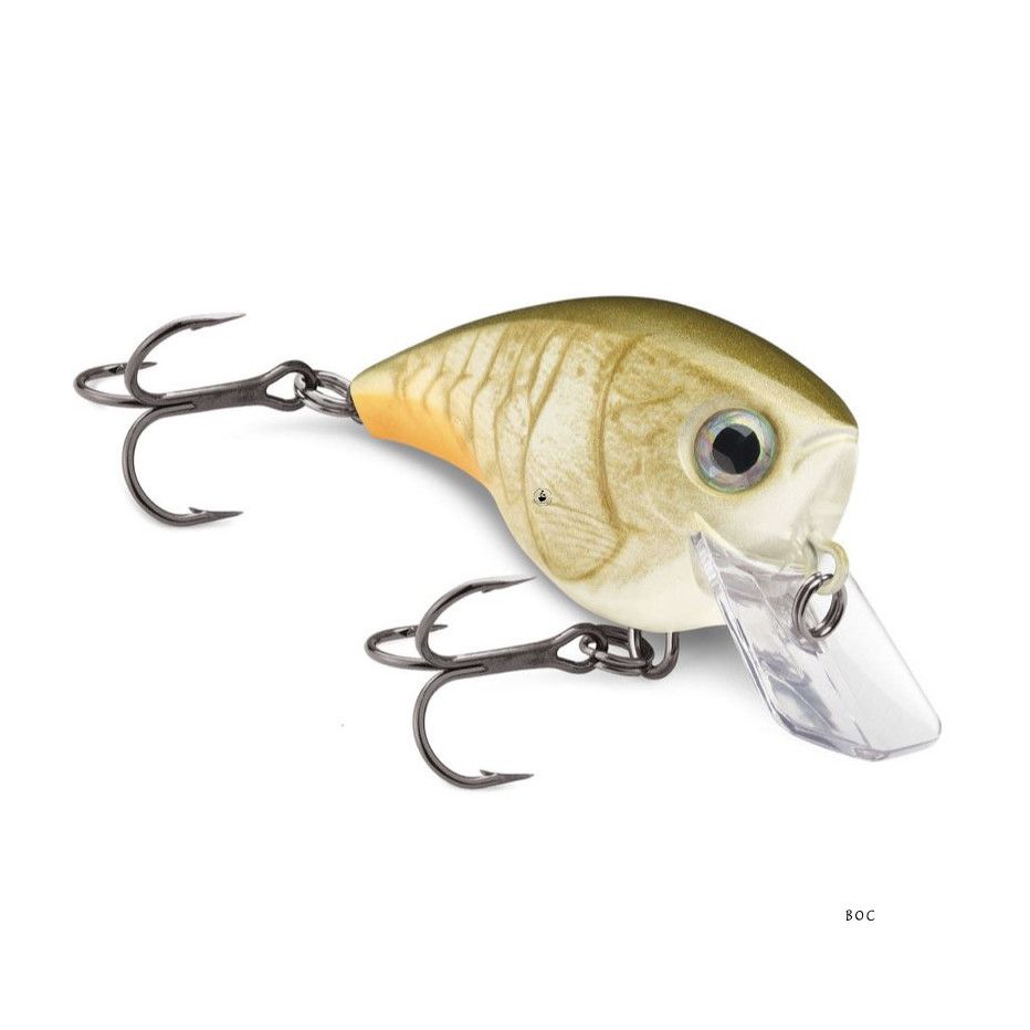 Poisson Nageur Rapala BX Brat 6