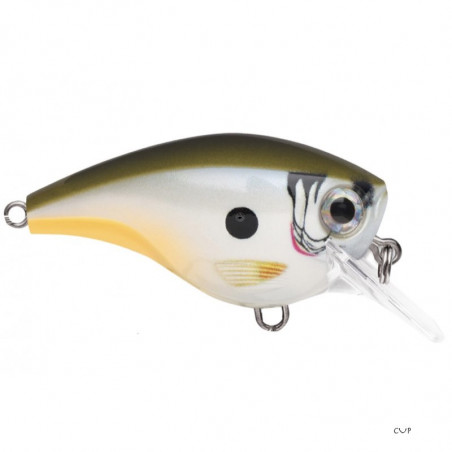 Poisson Nageur Crankbait Rapala BX Big Brat 6