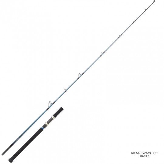 Spinning Sea Rod Daiwa...