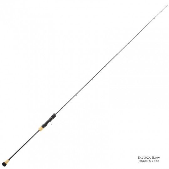 Baitcast Ruten Meer Daiwa Saltiga Slow Jigging 2020