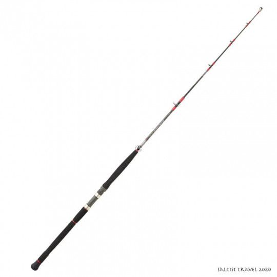 Spinning sea rod Daiwa...