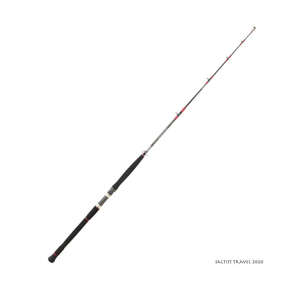 Caña de spinning Daiwa Saltist Travel 2020 - Viaje de pesca