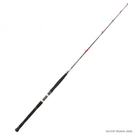 Canne Spinning Mer Daiwa Saltist Travel 2020 - Voyage de pêche