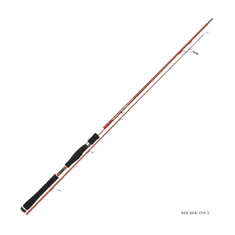 Spinnruten Meer Tenryu Rod Bar Evo 2 - 3 Längen
